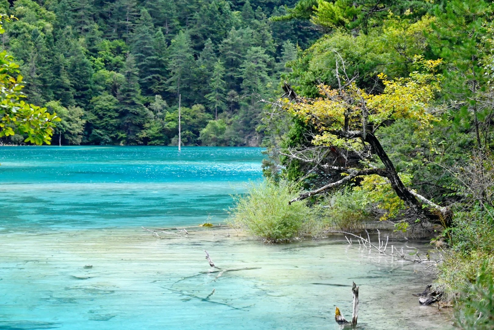 九寨溝